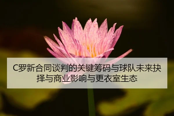 C罗新合同谈判的关键筹码与球队未来抉择与商业影响与更衣室生态