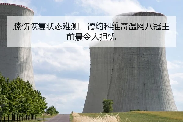 膝伤恢复状态难测，德约科维奇温网八冠王前景令人担忧